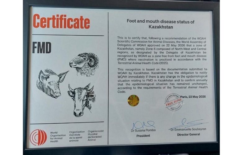 Казахстан стал единственной страной Центральной и Восточной Азии со статусом свободной от ящура