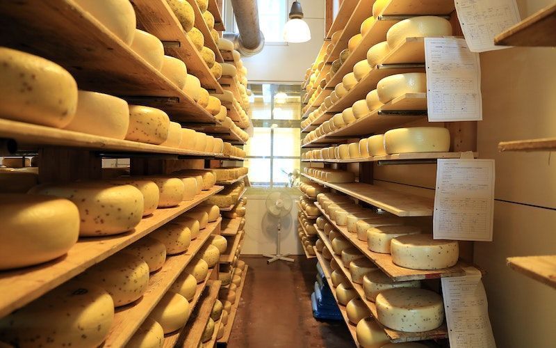 Крупнейший молочный завод Новосибирской области начнет работу летом 2026 года Крупнейший молочный завод Новосибирской области начнет работу летом 2026 года