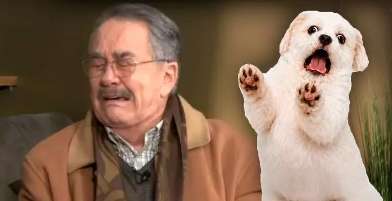 Grupo Lala, Anlık Pazarlama Stratejisiyle Viral Trendi Kullanıyor