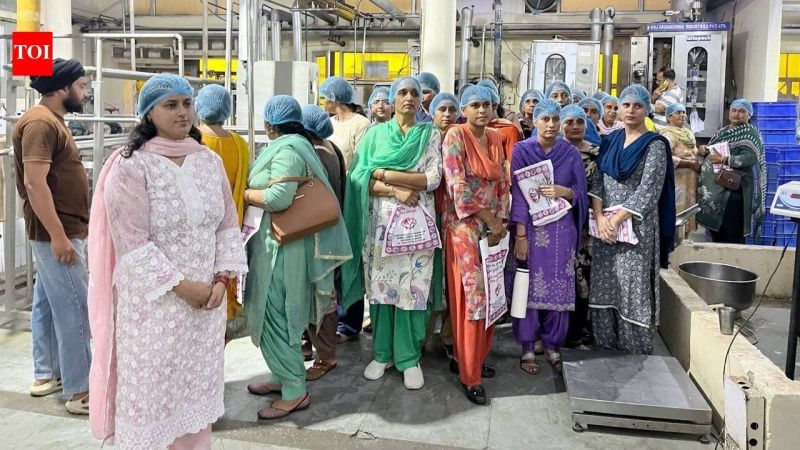 GADVASU Trained 56 Women Entrepreneurs in Dairy Business and Value Addition