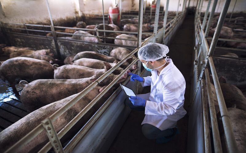 87% of Veterinary Laboratories in Kazakhstan Do Not Meet International Standards