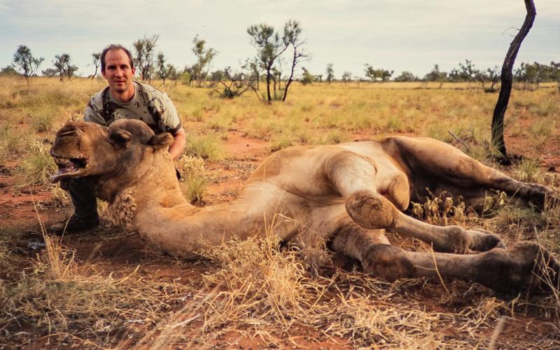 Australia se enfrenta al aumento de camellos salvajes en comunidades remotas