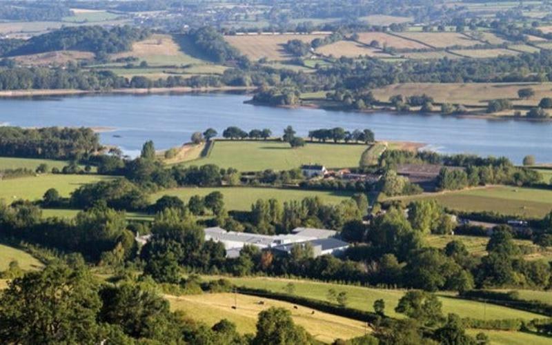 Yeo Valley Farms Reports £424.6 Million Turnover Amid Strategic Growth