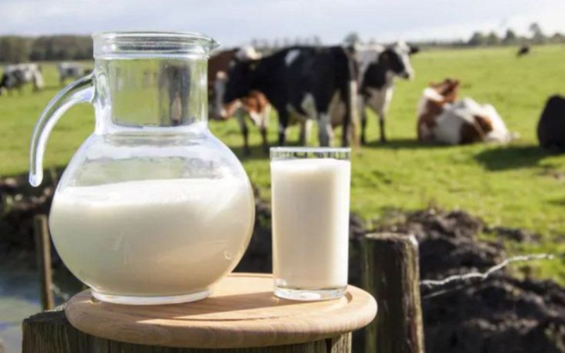 Uruguay's Dairy Exports Nearing Historic Revenue Records in 2025