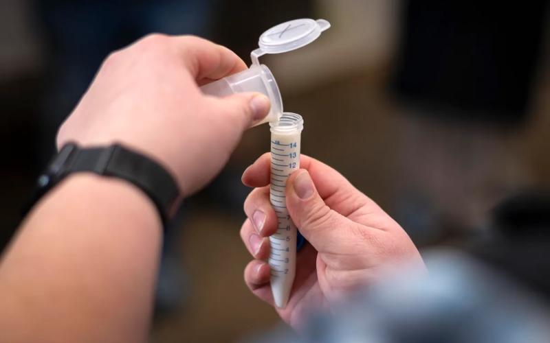 Las granjas lecheras de Vermont mejoran la bioseguridad con pruebas de influenza aviar