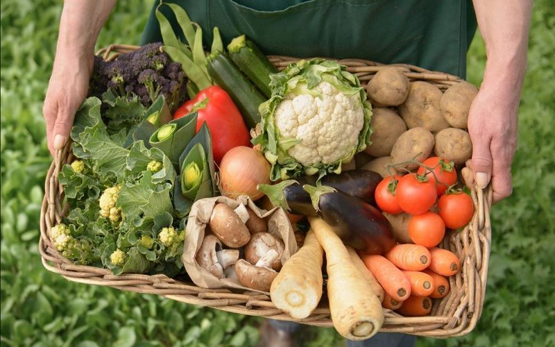 Минимальная продуктовая корзина в России подорожала до 7,2 тыс. руб. с начала года