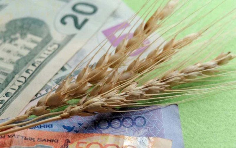 Bloomberg сообщил о введении Россией порога цен на экспортную пшеницу
