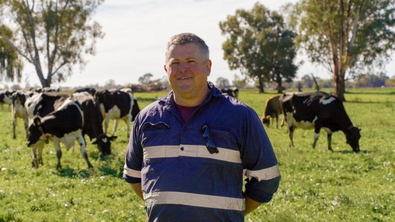 Australian Family Farms Adopt Robotic Milking to Ease Labour Shortages