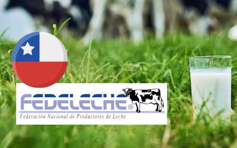 تحديثات Fedeleche حول توقعات قطاع الألبان في تشيلي