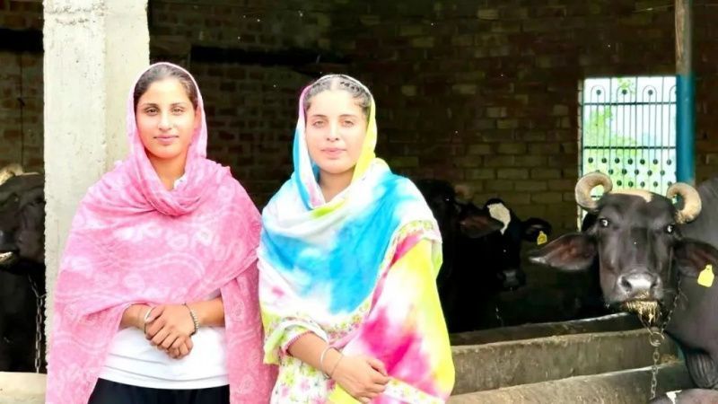 Two Punjab Sisters Build a 22-Animal Dairy Farm