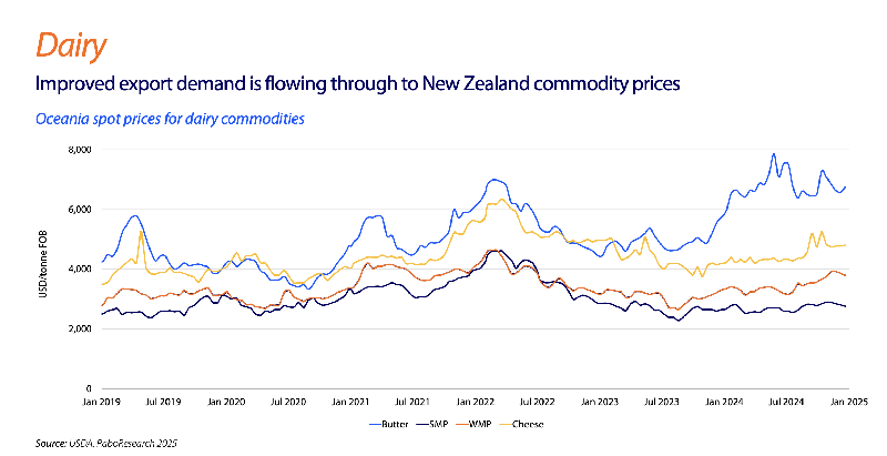 New Zealand Dairy Market in 2025: Stability and Growth Amid Global Challenges