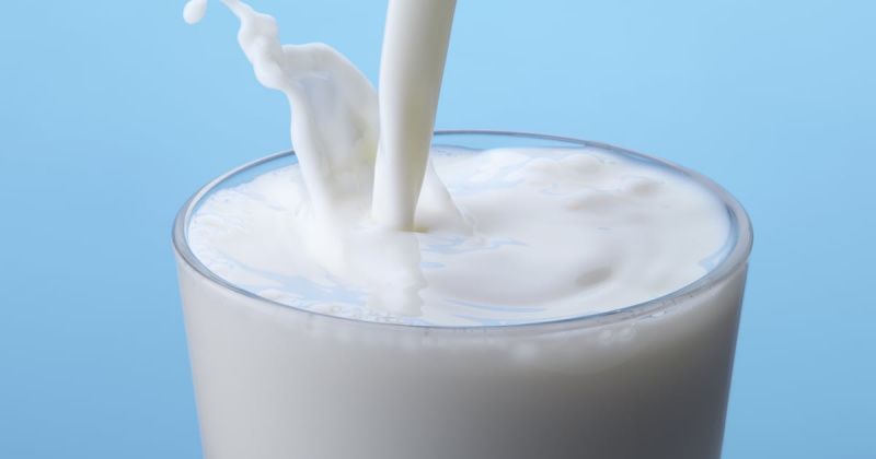 MilkPEP Launches Milkscape Dairy Intelligence Platform
