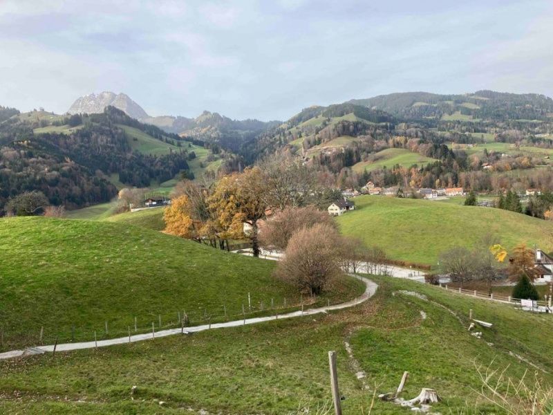 UK-Switzerland Trade Deal Reduces Tariffs on Key Agricultural Products