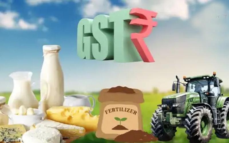GST Rate Cuts to Boost India's Dairy and Agricultural Sectors