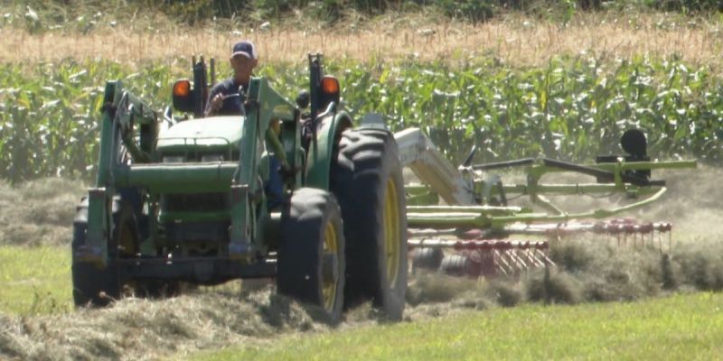 نيويورك تفتح باب التقديم للحصول على منح بقيمة 8.5 مليون دولار لقطاع الألبان