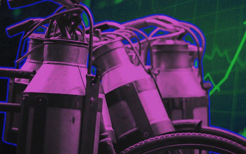 El sector lácteo de la India experimenta un crecimiento récord y una inversión en infraestructuras en 2025