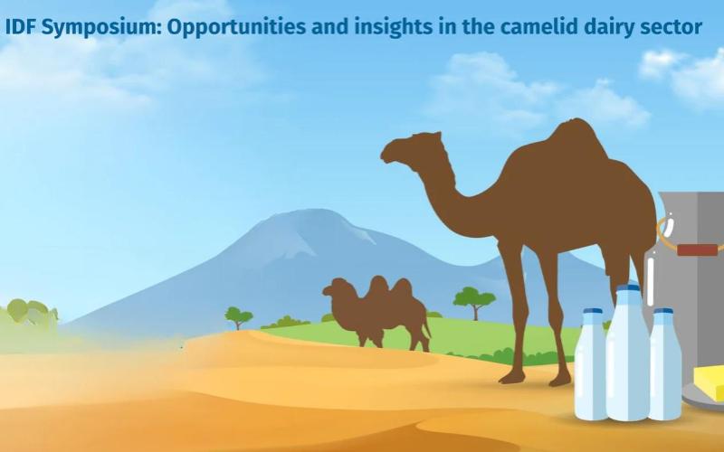 India Hosts 9th IDF Symposium on Expanding Non-Bovine Milk Systems