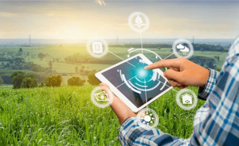 Brazilian agribusinesses can deduct up to 80% extra for eligible research spending