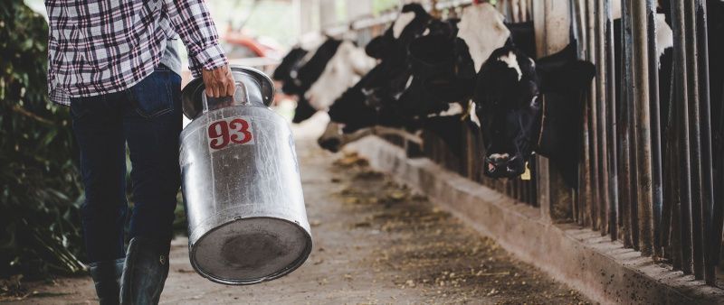 Kanada, Kaliforniya'nın Süt Ürünleri İhracatına Yeni Tarifeler Getirdi