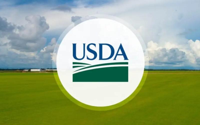 USDA, Süt Ürünleri ve Özel Mahsul Alımları İçin 263 Milyon Dolar Ayırıyor