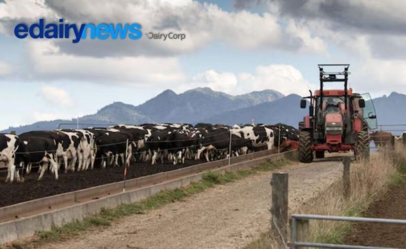 Fonterra, Güçlü Süt Ürünleri Talebi Ortasında Artan Maliyetler ve Belirsizlikle Karşı Karşıya
