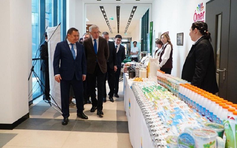 Иван Сауэр, глава 