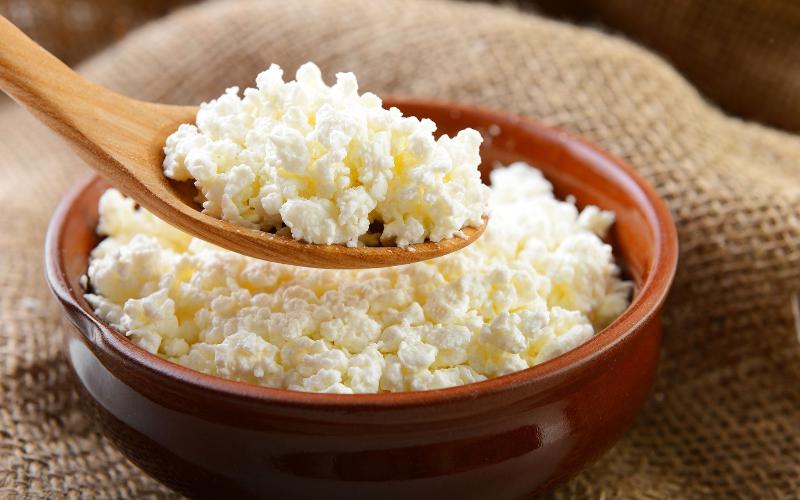 Cottage Cheese Makes a Comeback as a Popular Protein Source