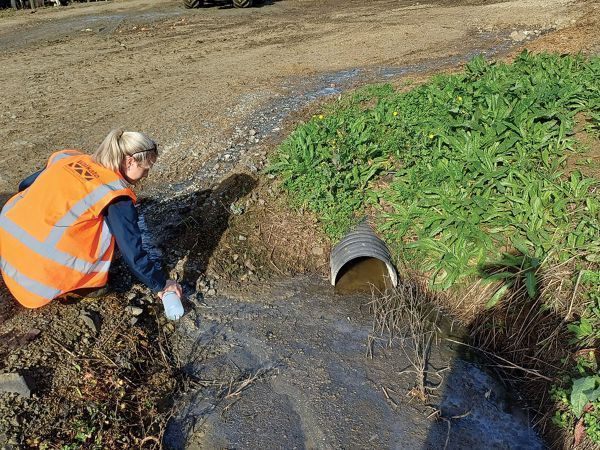 Waikato Dairy Farm Fined for Effluent Mismanagement Amid Regulatory Crackdown