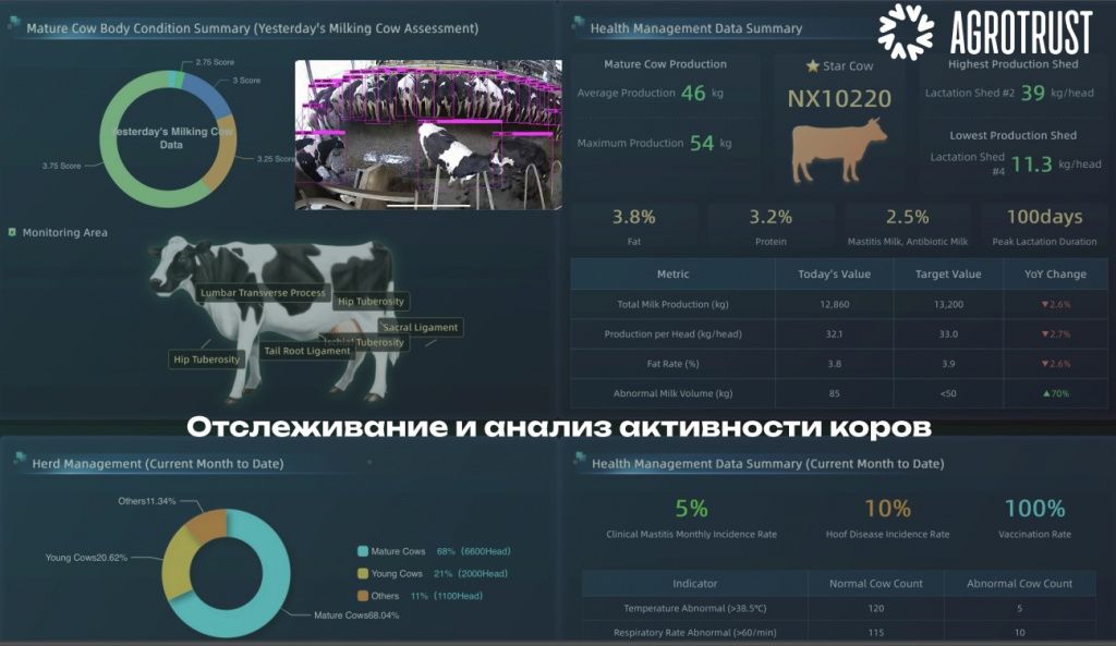 537377.jpg 537377.jpg