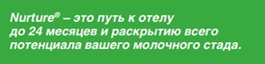О13.jpg